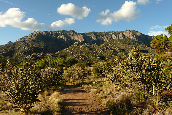 Sandia Mountains
