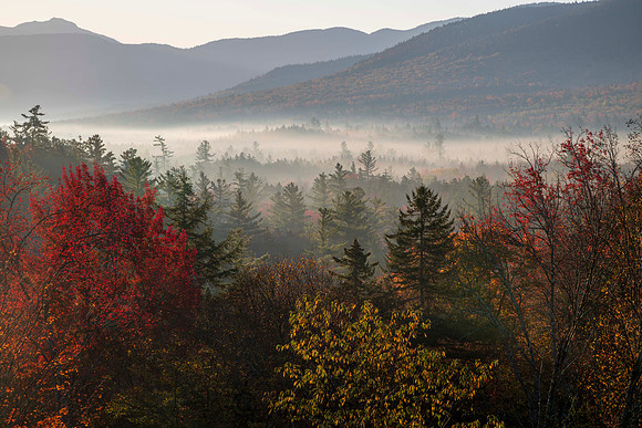 Morning Fog