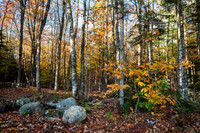 Fall in New Hampshire