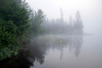 Minnesota Fog