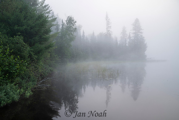 Minnesota Fog