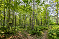 Divided Pathway