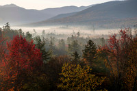 Morning Fog