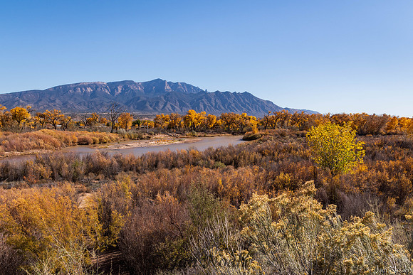 Bosque Color