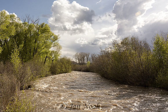 After the Rain at the Chama River