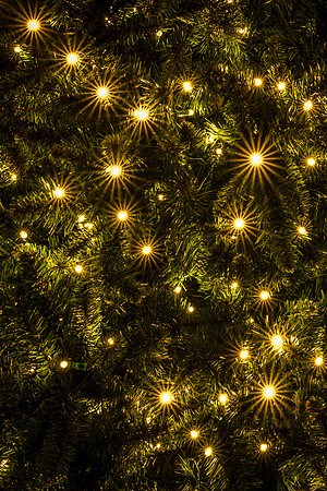 Christmas in Lights