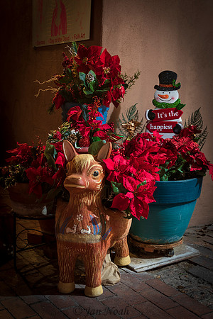 Holiday Donkey
