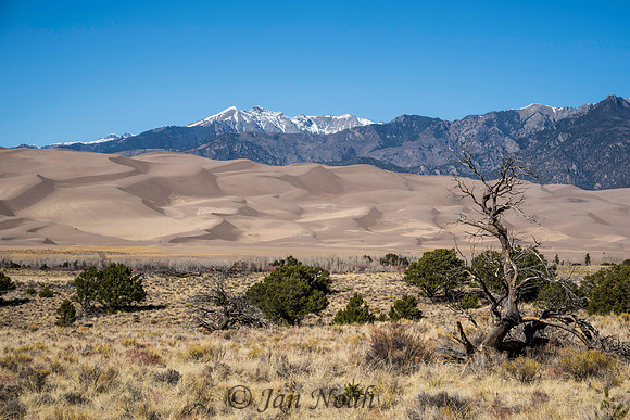 Great Sand Dunes