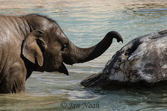 Play Time