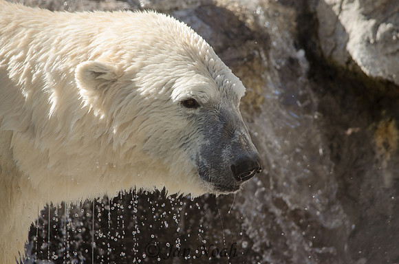 Cooling Off