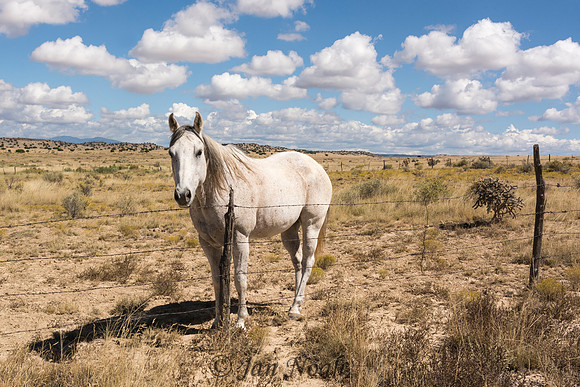 NM Beauty