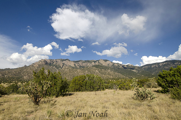 Sandia Mountains