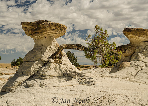 Hoodoos in New Mexico