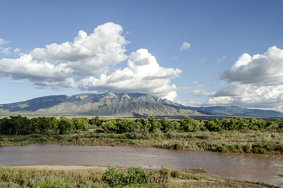 Corrales Bosque View