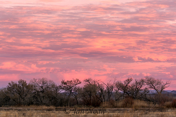 Sky on Fire