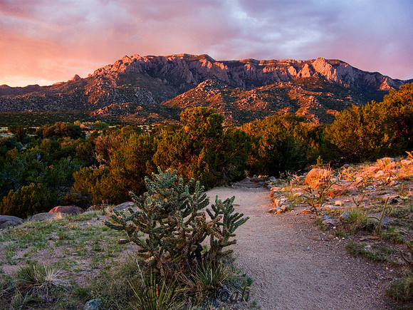 Sandia Mountains at Sunset