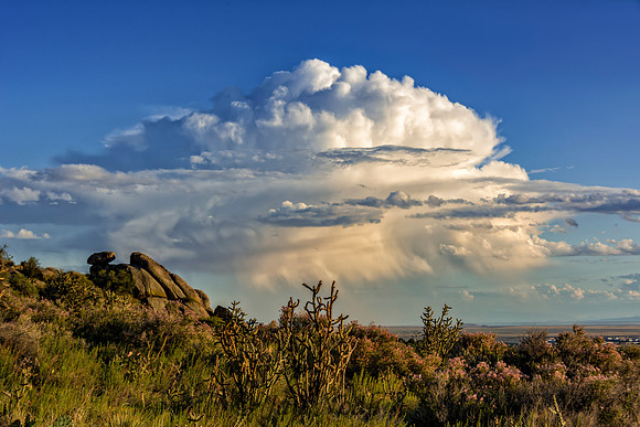 Albuquerque Foothills