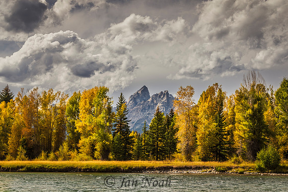 Fall Color on the Snake River