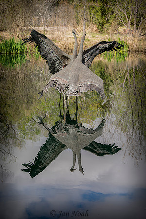 Mirrored Pair