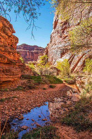 Hunter Canyon