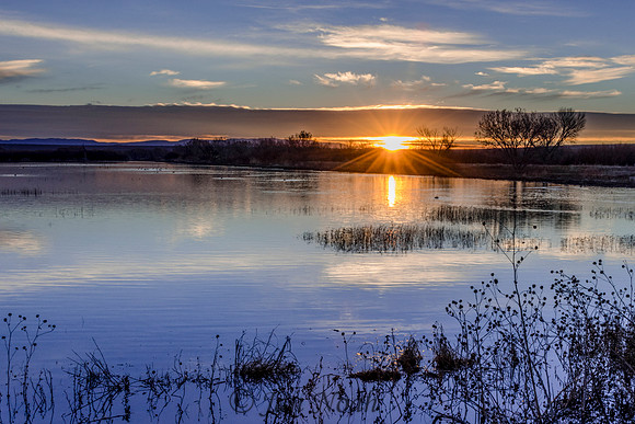Sunrise at the Bosque del Apache