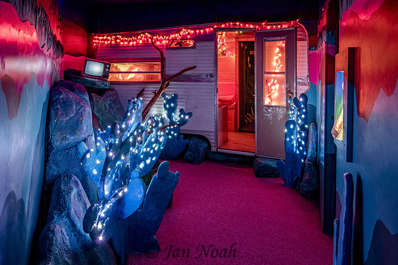 Camping Meow Wolf Style