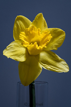 Spring Is Here