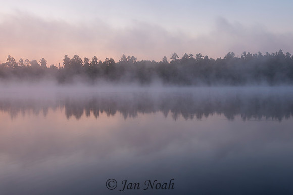 Morning Mist