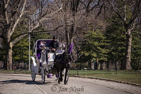 Central Park Ride