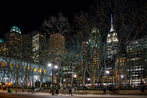 Evening in NYC