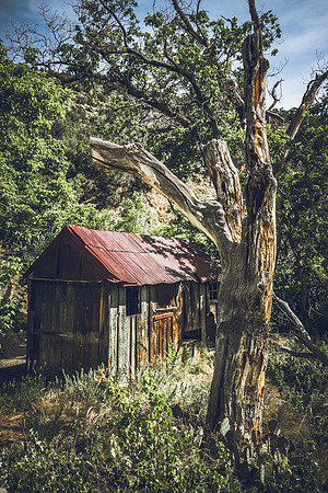 Days Gone By