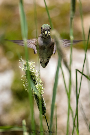 What a Mouthful!