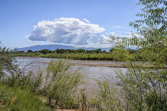 Summer on the Rio Grande