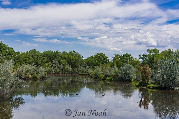 Solitude on the Pond