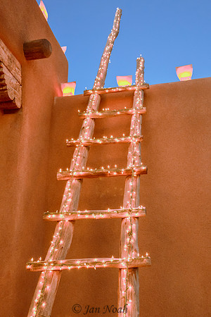 Pueblo Ladder