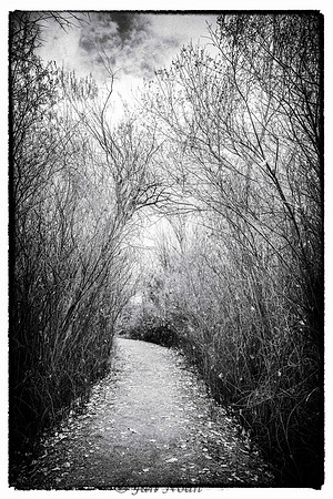 Pathway