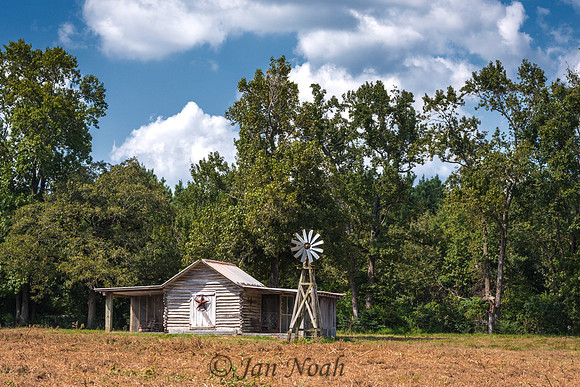 Lone Star