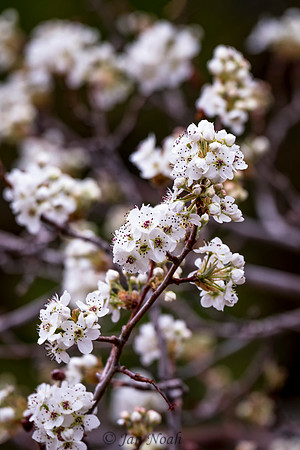 Signs of Spring