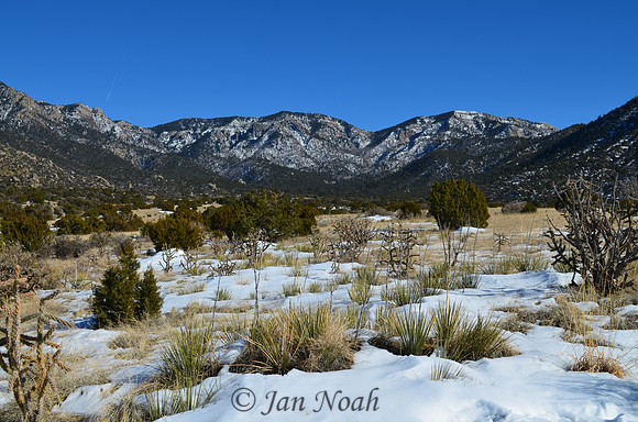 Winter at Elena Gallegos