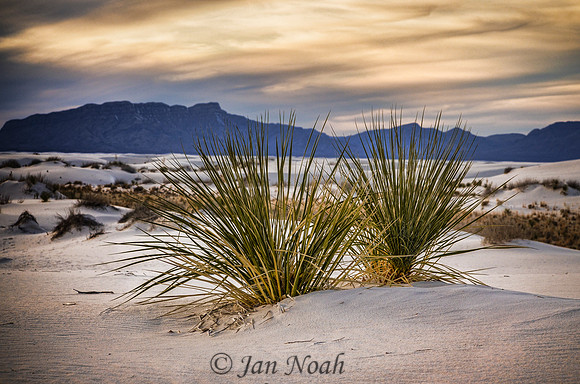 White Sands