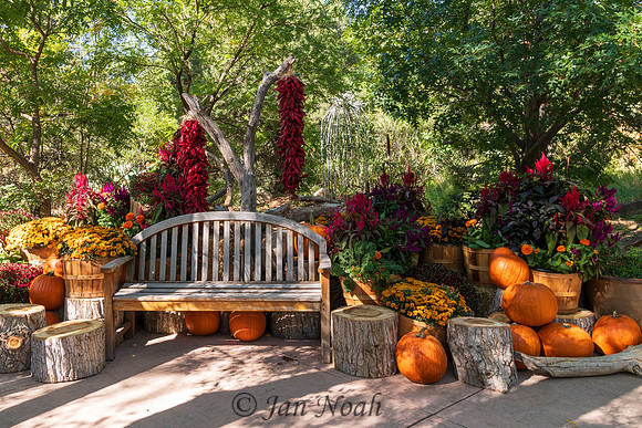 Fall in Season