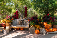 Fall in Season