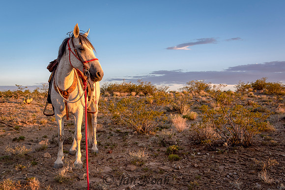 My Desert Ride