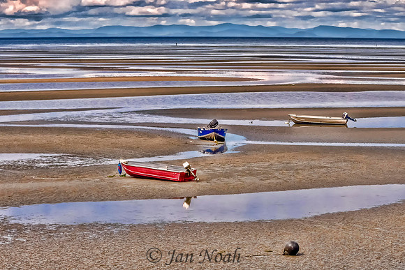 Low Tide