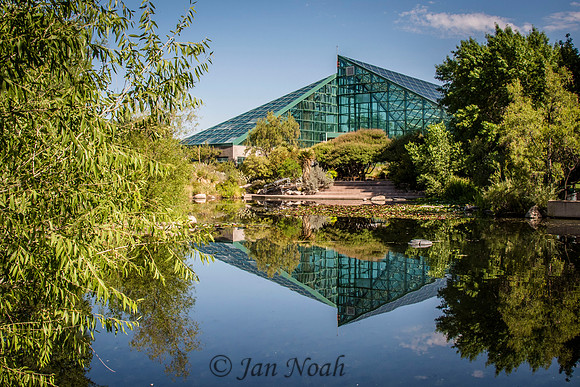Mirror Image