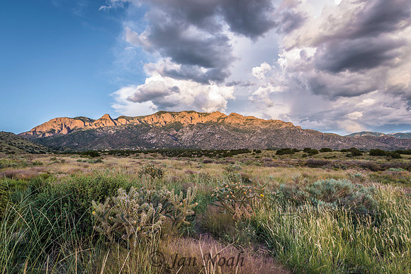 Sandia Mountains