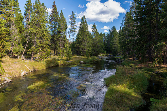 Yellowstone River
