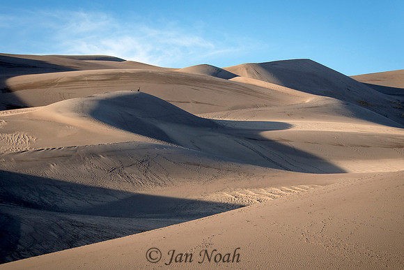 Long Shadows