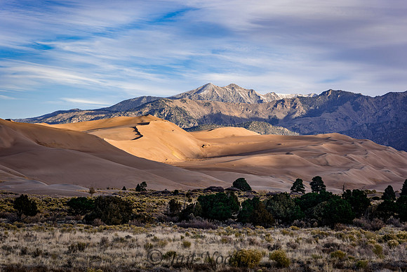 Early Light on the Dunes