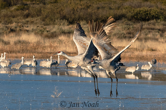 In Synch